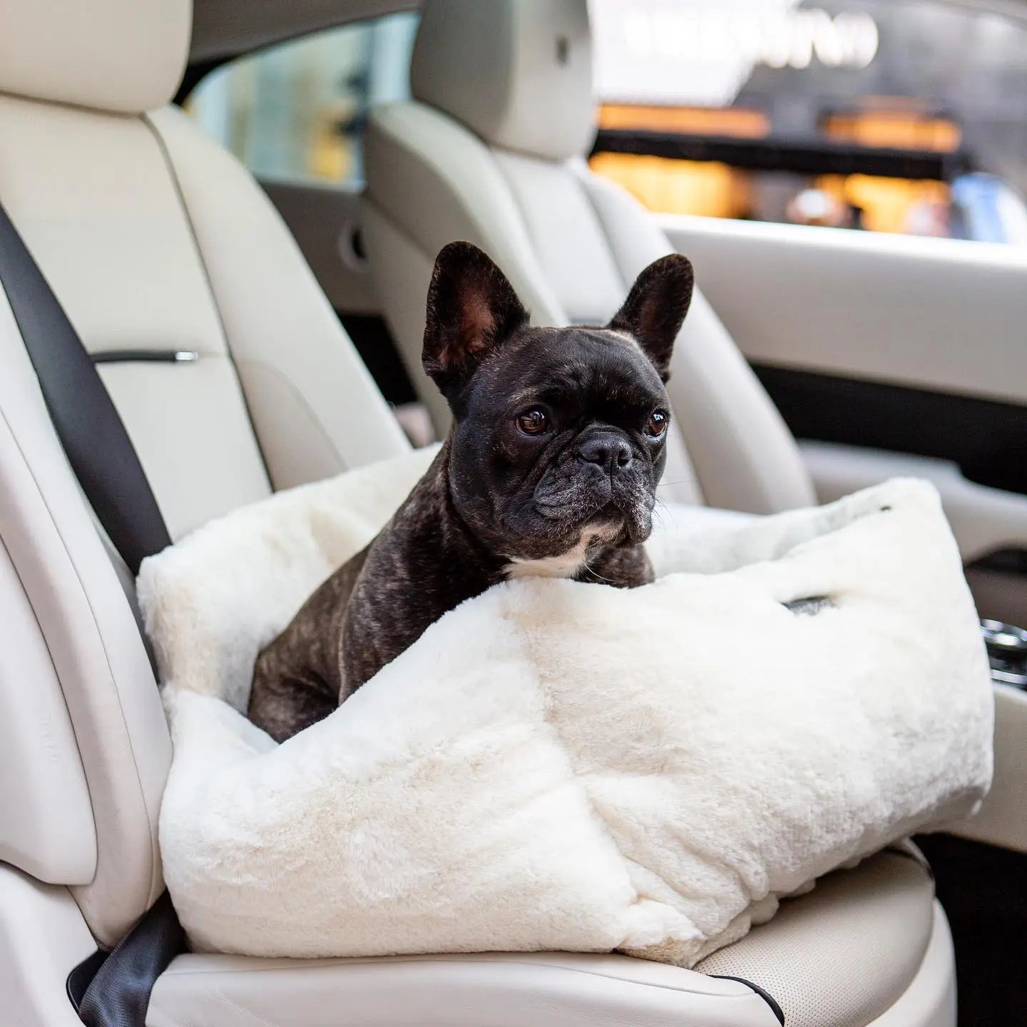 Ivory Cloud Autositz - Nandog Pet Gear Nanodog Pet Gear